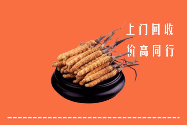 附近收购：奉化区冬虫夏草回收多少钱每克