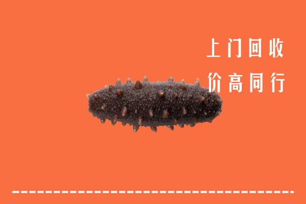 奉化区回收海参