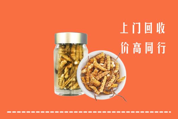 奉化区回收冬虫夏草