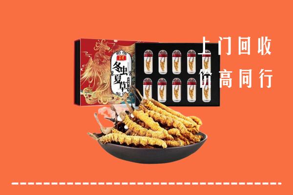 奉化区回收虫草